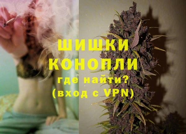 эйфоретик Аркадак