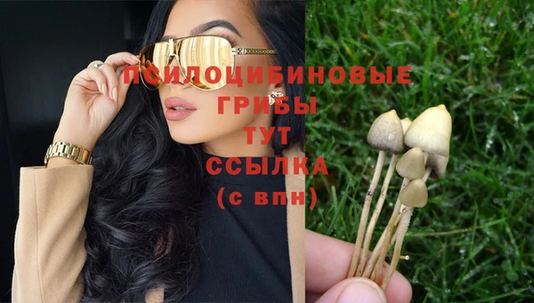 эйфоретик Аркадак