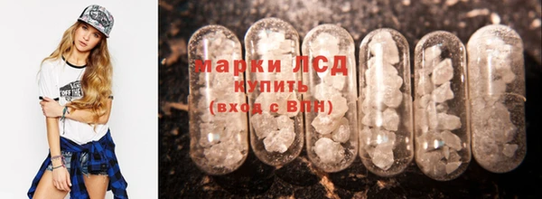 эйфоретик Аркадак