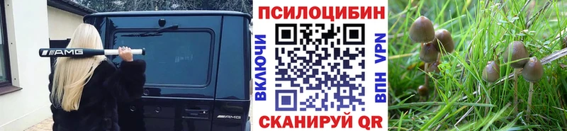 даркнет сайт  Белокуриха  Псилоцибиновые грибы прущие грибы 